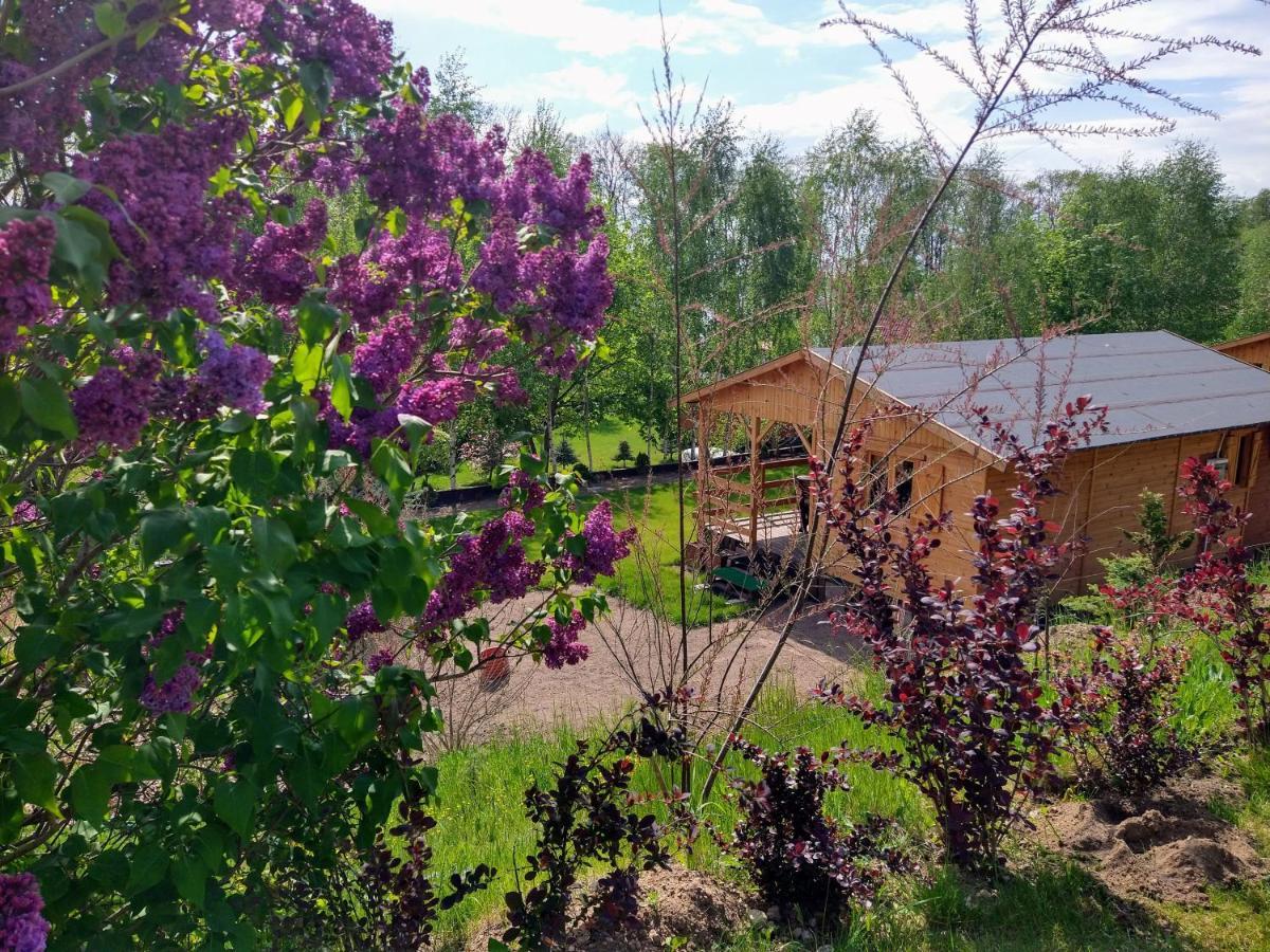 Dom Wczasowy Pieciu Pomostow I Domki Letniskowe Czaplinek Exterior foto